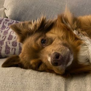 Meet your Posher, Scott